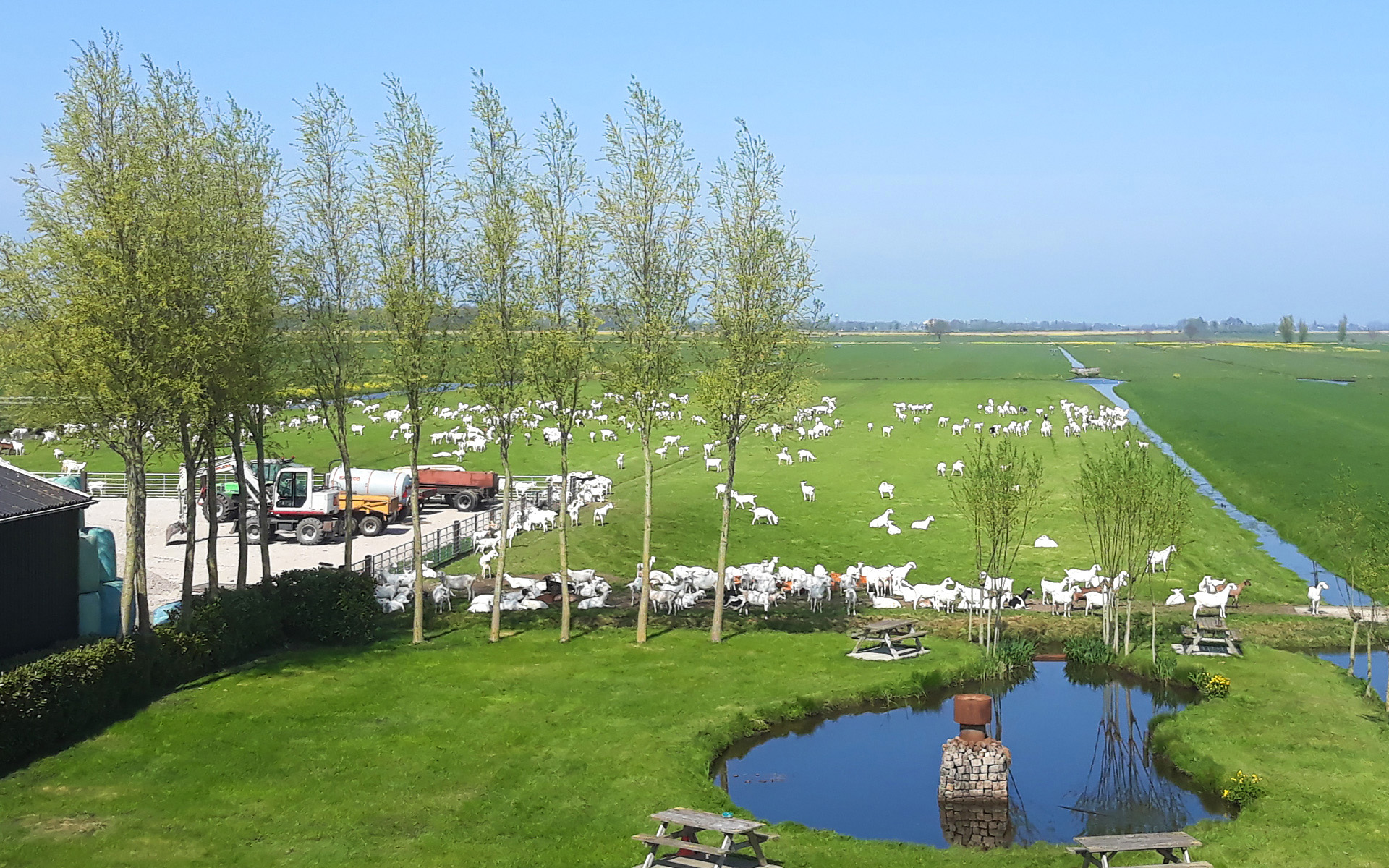 De Molswaerd · Melkgeitenbedrijf · Milieubewust ondernemer op een van de mooiste plekjes in nederland.